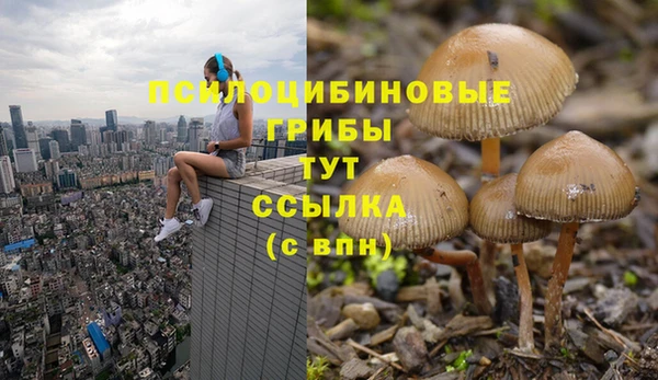 МДПВ Арсеньев