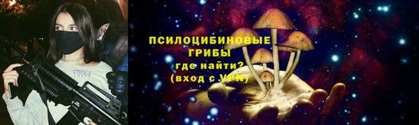 МДПВ Арсеньев
