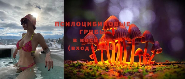 МДПВ Арсеньев
