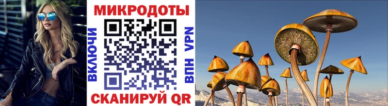 Псилоцибиновые грибы MAGIC MUSHROOMS  что такое   omg ссылка  Лысьва 